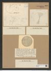 Coscinodiscus odontiscus Grun. (de-Toni-Nr.: Genus 202, Species 4927) Zeichnungen Sammlung Grunow Nr. 8698 (NHMW-BOT-W0378120)